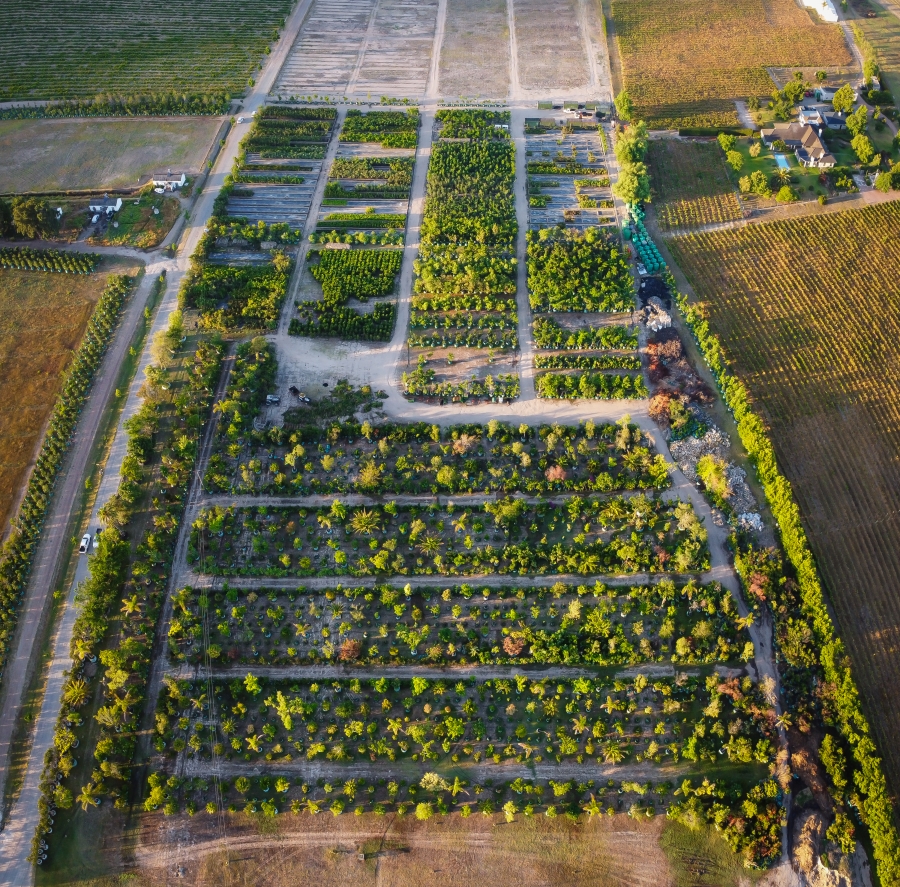 0 Bedroom Property for Sale in Stellenbosch Farms Western Cape